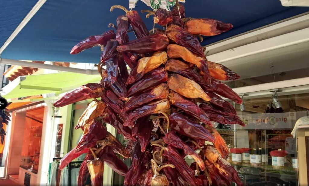 French Basque Coast_8