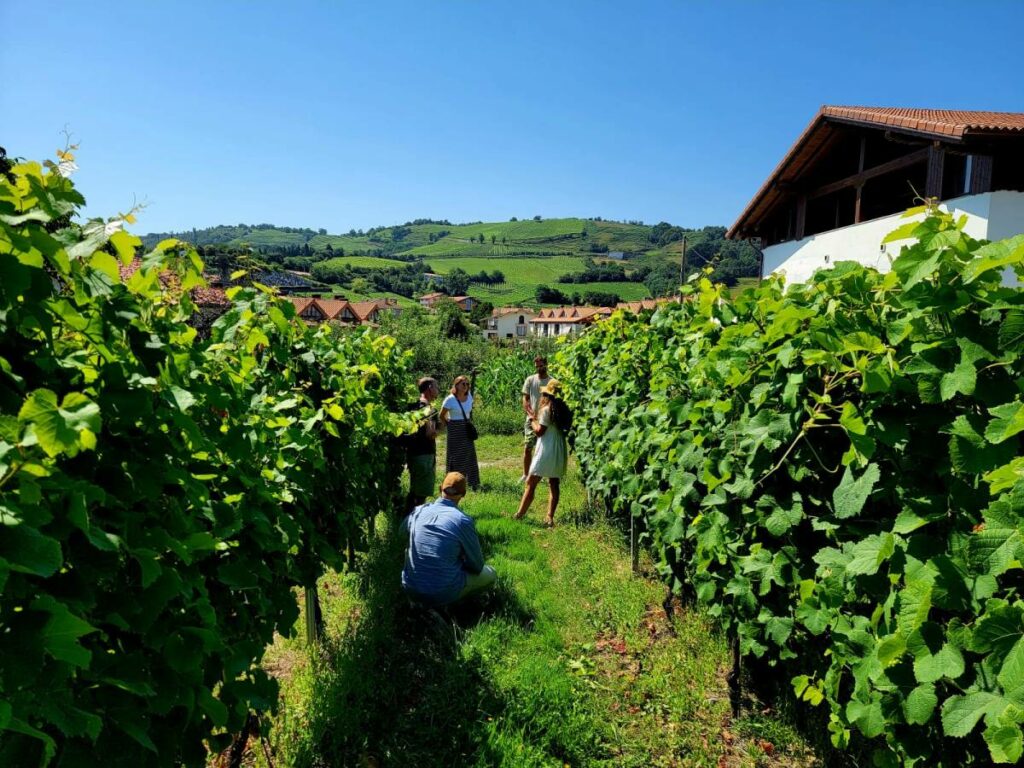 Txakoli White Wine Tour_11