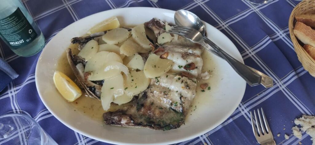 Txakoli White Wine Tour_6