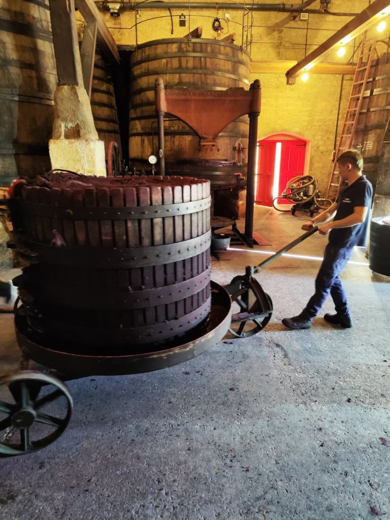 Bodegas Lopez de Haro, Viña Tondonia