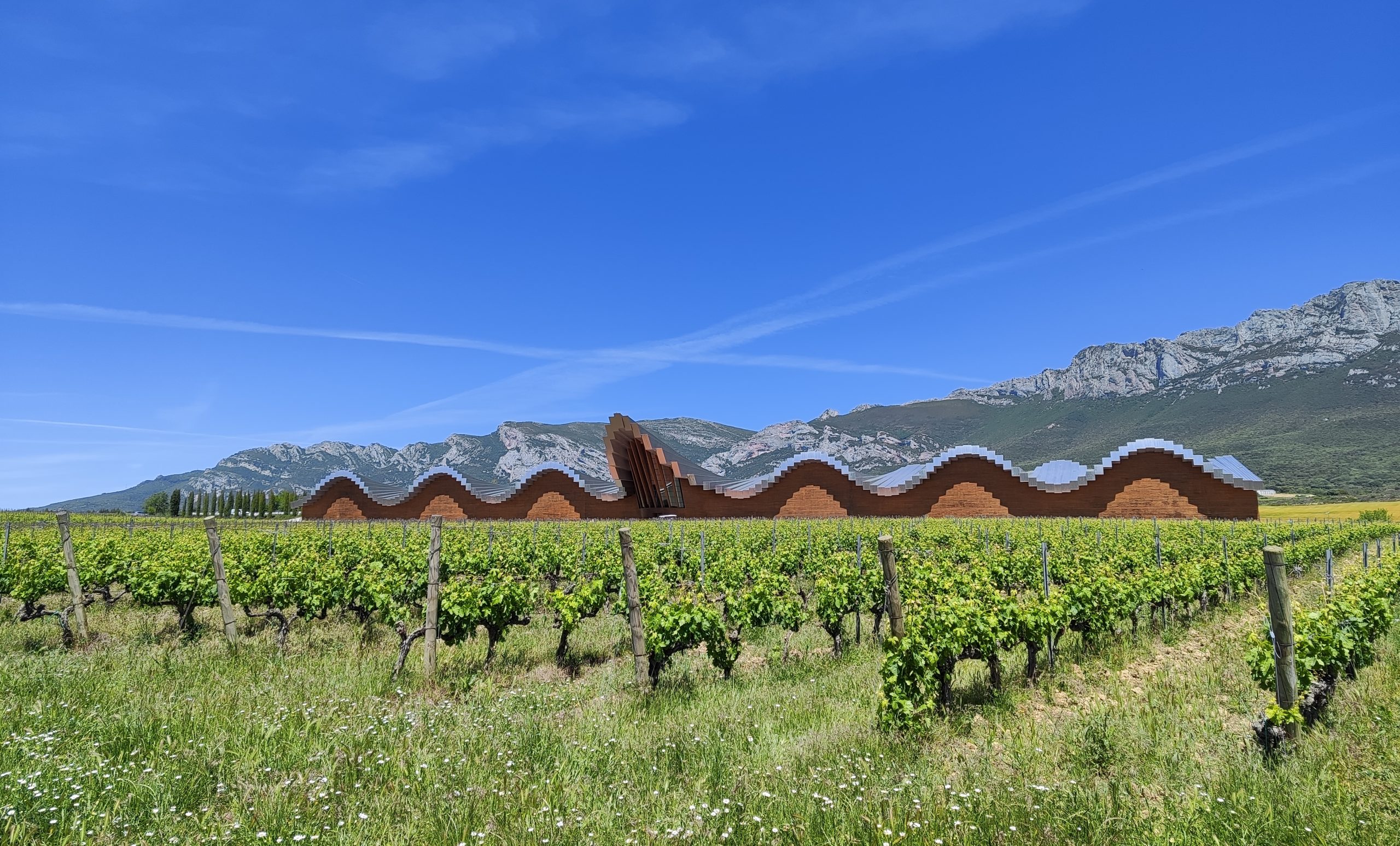 Ysios winery